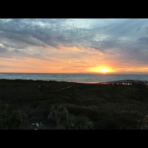 Meet your Posher, Betsy